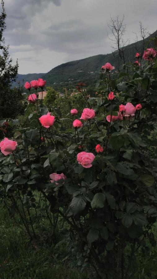 Apartment Nikola Kotor Dış mekan fotoğraf